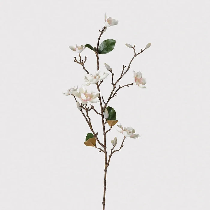 Tall Blush Magnolia Branch