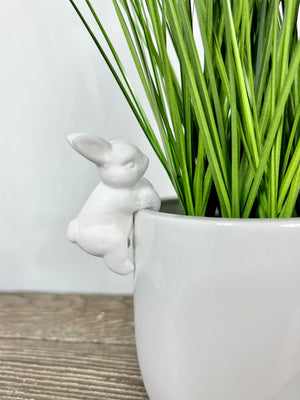 Bunny Planter - 2 Sizes