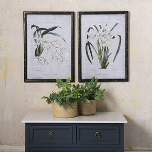 Set of 2 Large Framed Orchid Prints