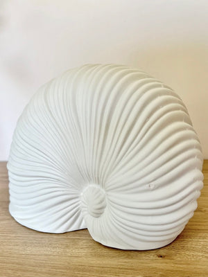 White Shell Ornament