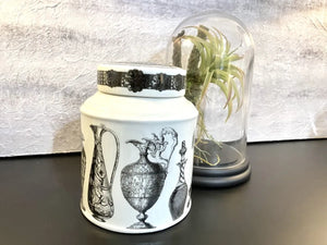 Plato Jar - 2 Designs